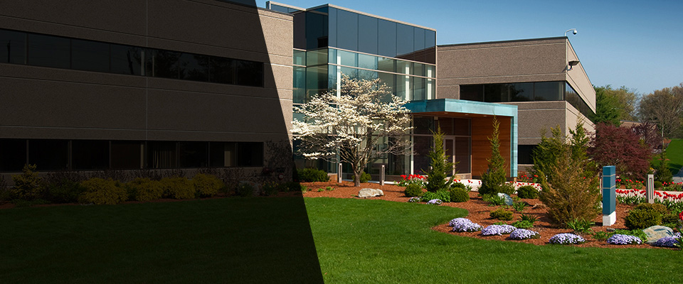 Sycamore Landscapers