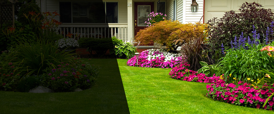 Sycamore Landscapers