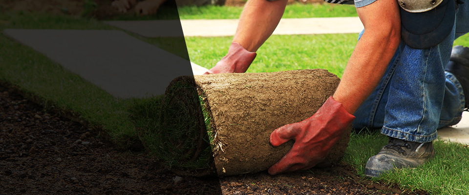 Sycamore Landscapers